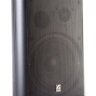 Акустическая система Roxton MS-40T